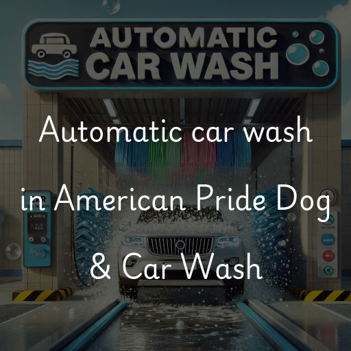 Automatic car wash in American Pride Dog & Car Wash