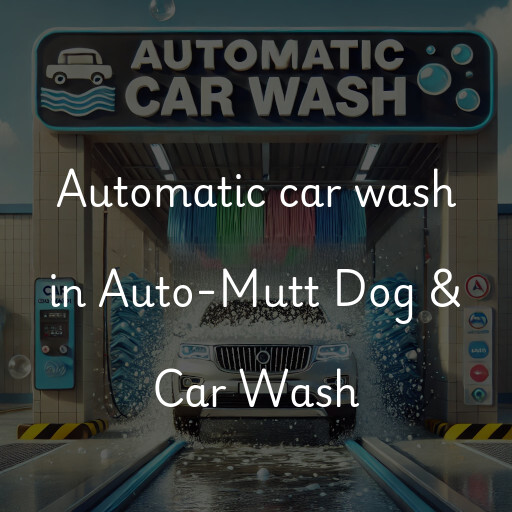 Automatic car wash in Auto-Mutt Dog & Car Wash