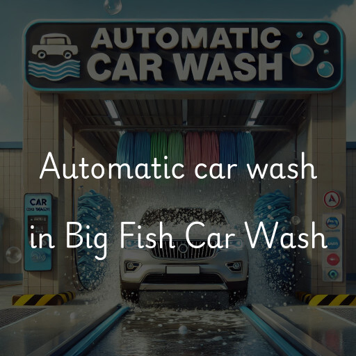 Automatic car wash in Big Fish Car Wash