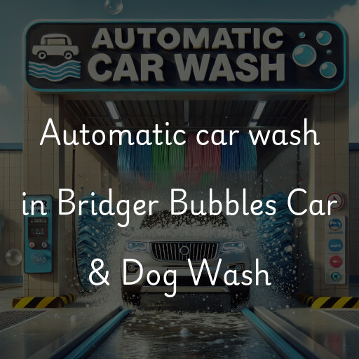 Automatic car wash in Bridger Bubbles Car & Dog Wash