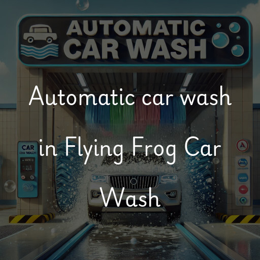 Automatic car wash in Flying Frog Car Wash