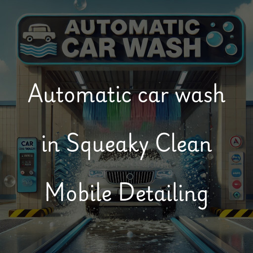 Automatic car wash in Squeaky Clean Mobile Detailing