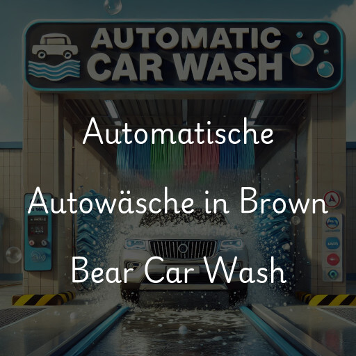 Lavado de autos en Brown Bear Car Wash