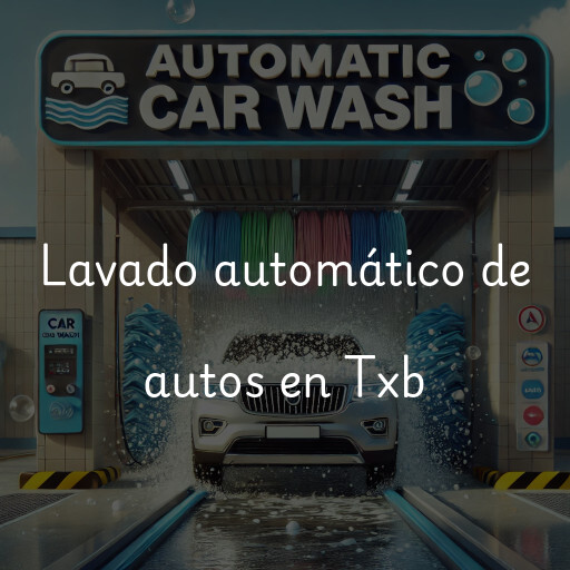 Lavado automático de autos en Txb