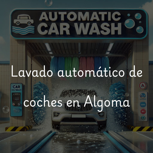 Lavado automático de coches en Algoma