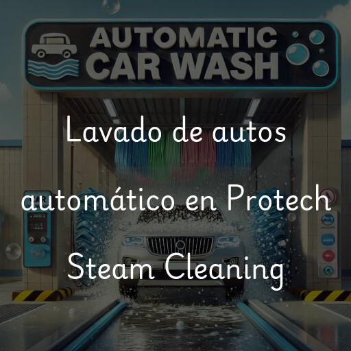 Lavado de autos en Protech Steam Cleaning