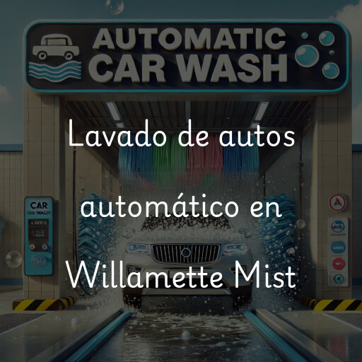 Lavado de autos en Willamette Mist