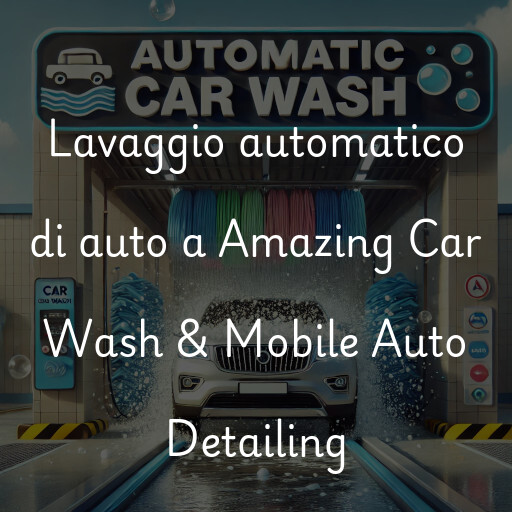 Lavaggio automatico di auto a Amazing Car Wash & Mobile Auto Detailing