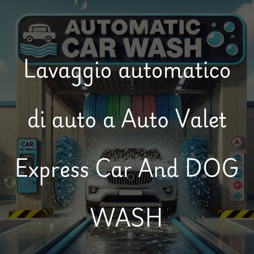 Lavaggio automatico di auto a Auto Valet Express Car And DOG WASH