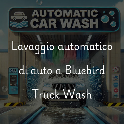 Lavaggio automatico di auto a Bluebird Truck Wash