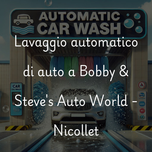 Lavaggio automatico di auto a Bobby & Steve's Auto World - Nicollet