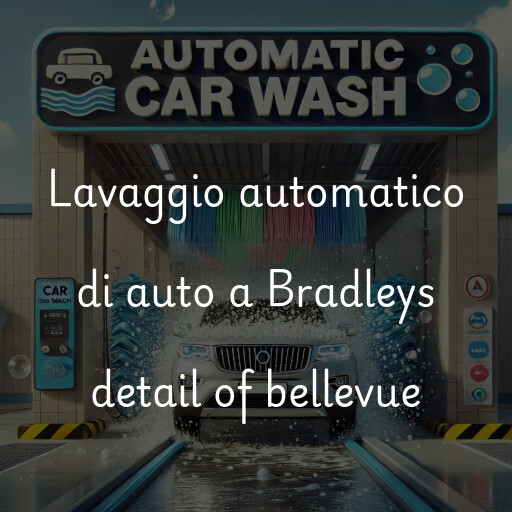 Lavado de autos en Bradleys detail of bellevue