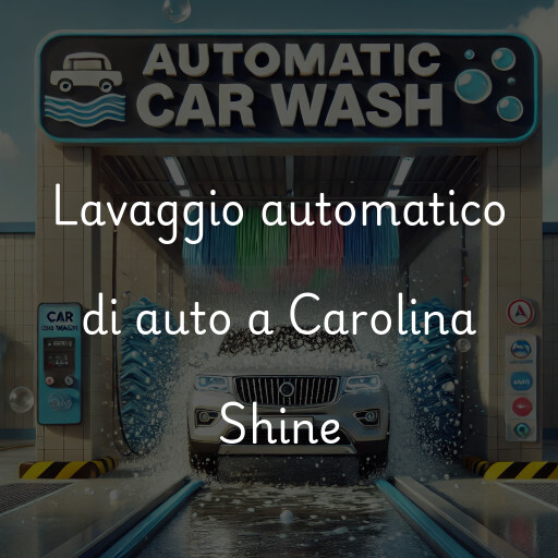 Lavado de autos en Carolina Shine