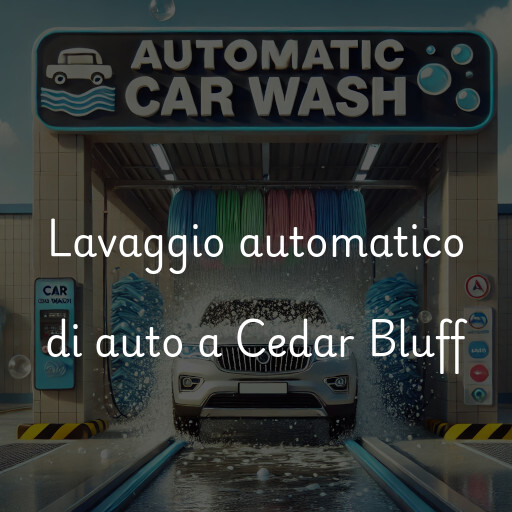 Lavaggio automatico di auto a Cedar Bluff