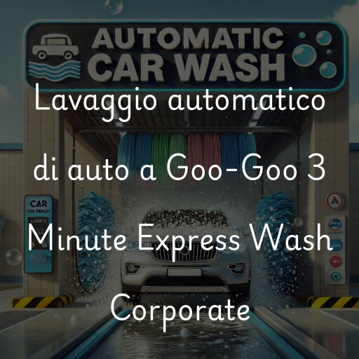 Lavaggio automatico di auto a Goo-Goo 3 Minute Express Wash Corporate