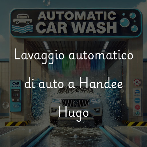 Lavado de autos en Handee Hugo