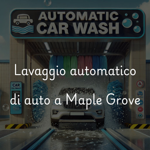 Lavaggio automatico di auto a Maple Grove