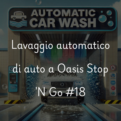 Lavaggio automatico di auto a Oasis Stop 'N Go #18