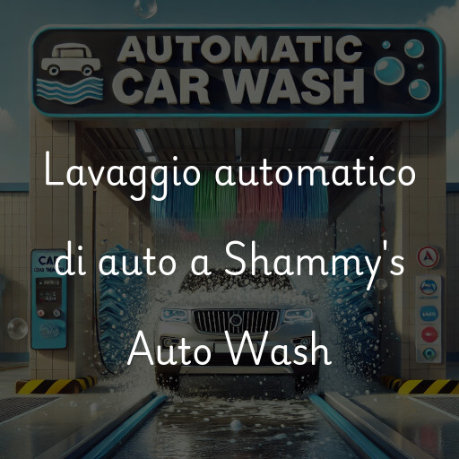 Lavaggio automatico di auto a Shammy's Auto Wash