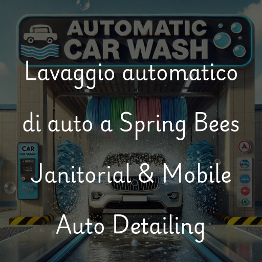 Lavaggio automatico di auto a Spring Bees Janitorial & Mobile Auto Detailing