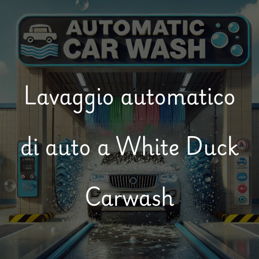 Lavaggio automatico di auto a White Duck Carwash